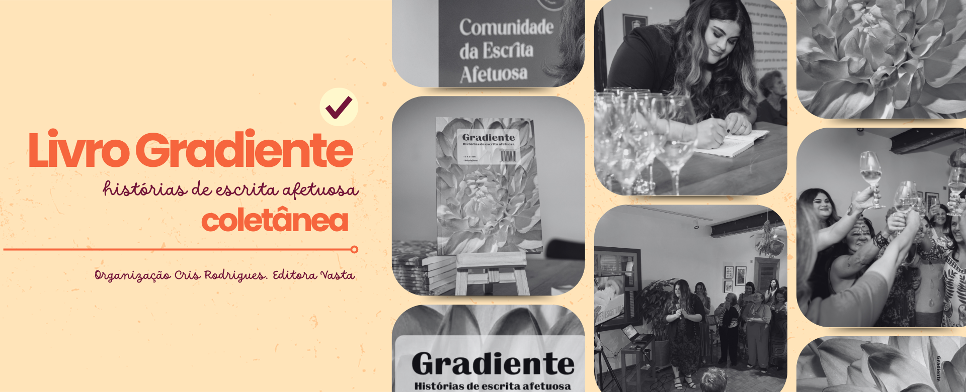 Livro Coletânea Gradiente: histórias de escrita afetuosa Co-autora
